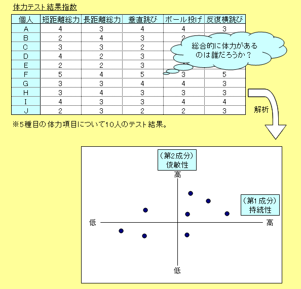体力測定表